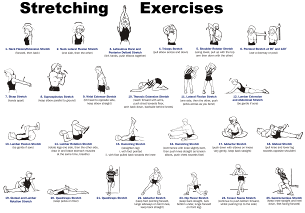 All Body Stretches